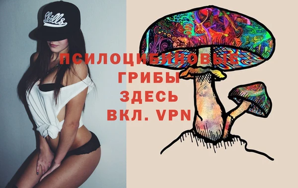 герыч Богородицк