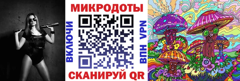 даркнет сайт Нерюнгри Псилоцибиновые грибы MAGIC MUSHROOMS